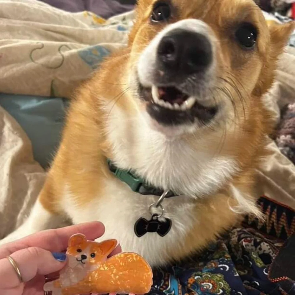 3/$22🩶  Corgi Dog Claw Clip Novelty Hair Accessory Acrylic Hair Clip Puppy NEW